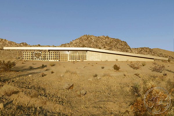 joshua-tree-1-4