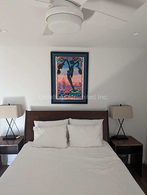 BED1-Large
