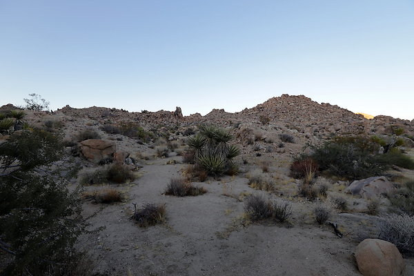 IMG 8858IMG