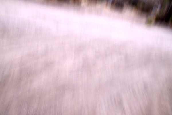 IMG 8987IMG