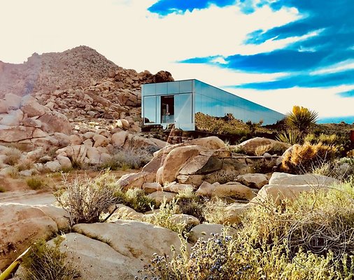 joshua-tree-9 image 4