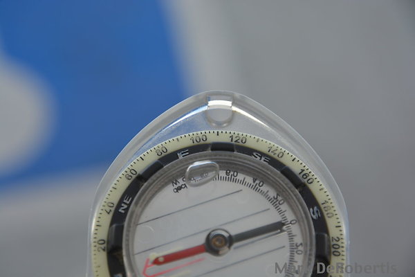 MDR 6501
