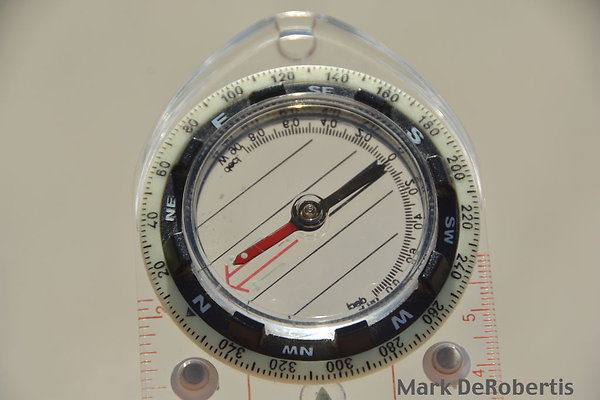 MDR 2819