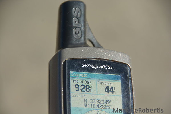 MDR 2392
