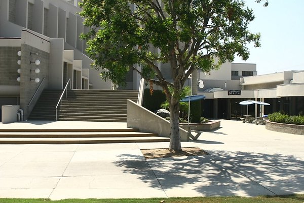 res IMG 8224