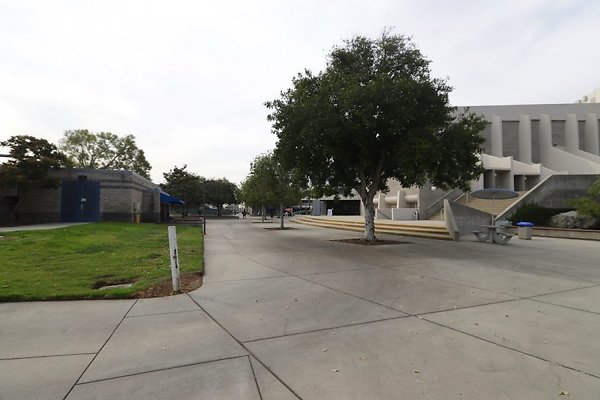 res IMG 7810IMG