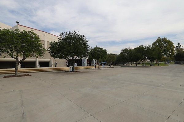 res IMG 7846IMG