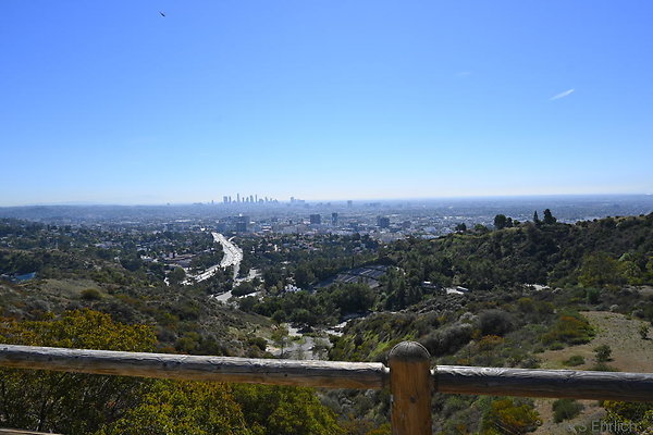 DSC 8358