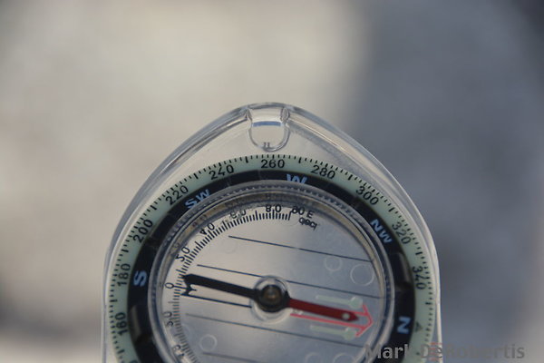 017