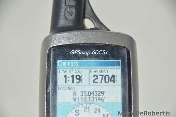 MDR 6613