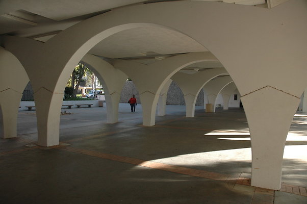 DSC 6350