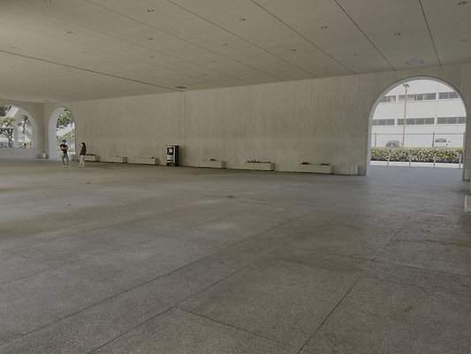 IMG 7976