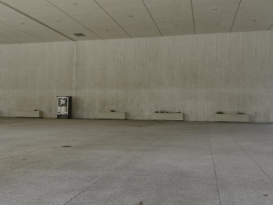 IMG 7964