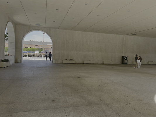 IMG 7929