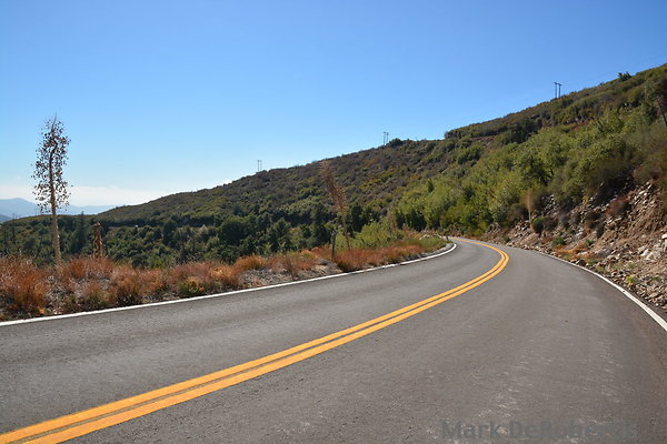 MDR 7170 - 24mm   220deg   120pm