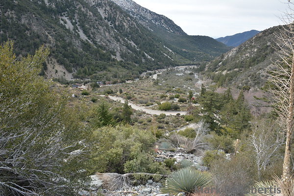 MDR 5927 - 28mm  180deg  915am