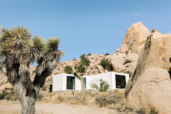 letsfrolictogether 20211117 0004