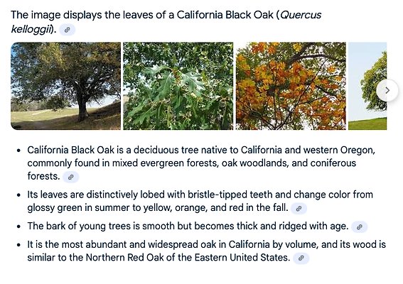 002 Screenshot 2025-09-26 at 8.17.00 PM