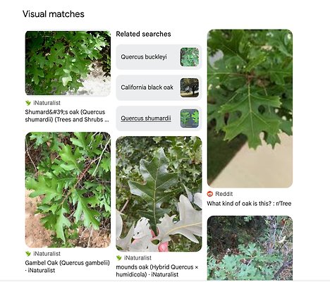 001 Screenshot 2025-09-26 at 8.16.54 PM