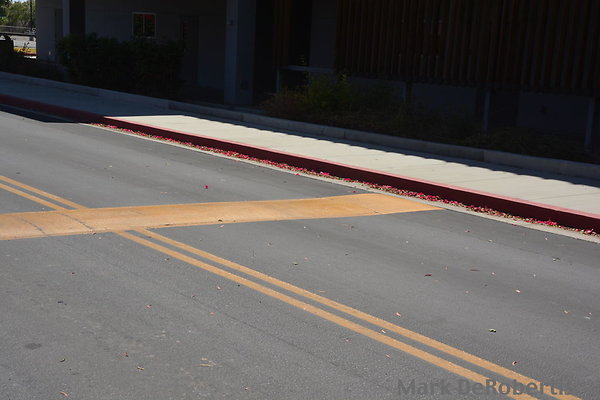 MDR 5771 - Speed Bump