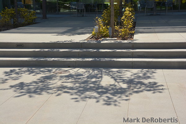 MDR 6303 - End 360...