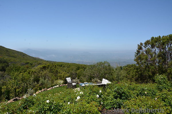 MDR 7865 - Lingering FOG out today