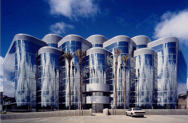 01x - Palm Trees Seem To Be Gone Now