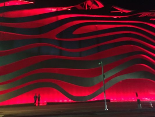 gorgeous-petersen-museum