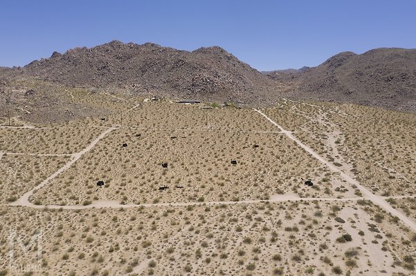 meyler 3682 007 - A-Z West, Joshua Tree, CA | Andrea Zittel