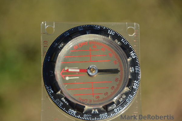 MDR 1791