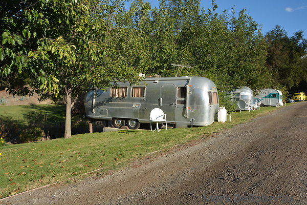 MDR 1805