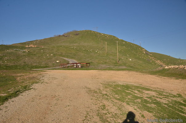 MDR 6733