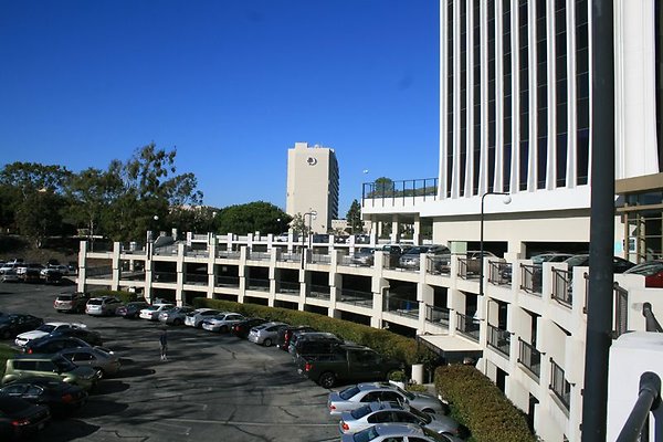 IMG 7363