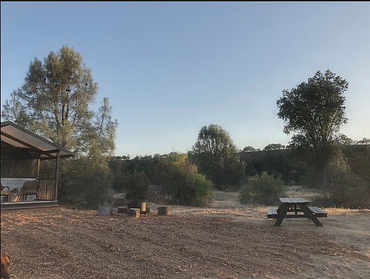 Screen Shot 2021-05-21 at 9.49.16 AM