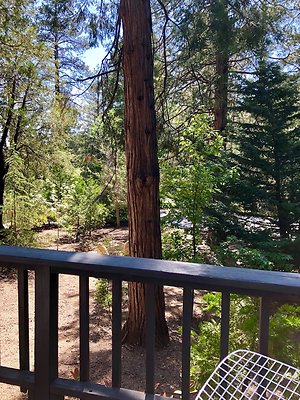 ab92c632-3794-4082-acbc-e6464906d6b6