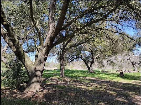 Screenshot 2025-09-20 at 6.28.21 PM Screenshot 2025-09-20 at 6.28.21 PM