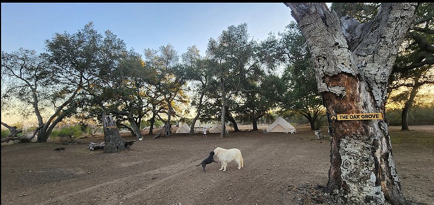 Screenshot 2025-09-20 at 6.29.14 PM Screenshot 2025-09-20 at 6.29.14 PM