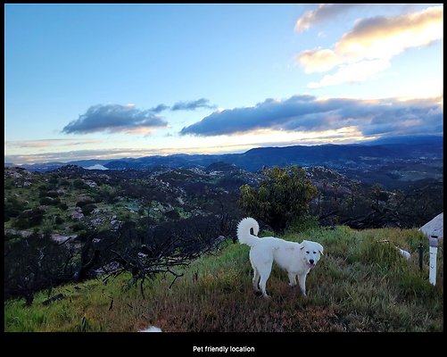 Screenshot 2025-08-28 at 1.42.29 PM Screenshot 2025-08-28 at 1.42.29 PM