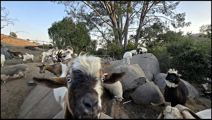 Screenshot 2025-09-20 at 6.23.17 PM Screenshot 2025-09-20 at 6.23.17 PM