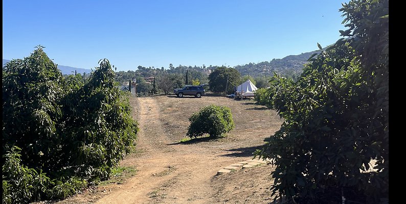 Screenshot 2025-08-30 at 10.06.08 AM