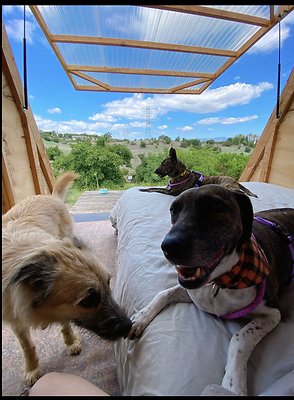 Screenshot 2025-08-30 at 10.08.57 AM