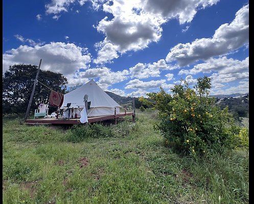 Screenshot 2025-08-30 at 10.06.38 AM