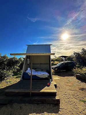 Screenshot 2025-08-30 at 10.16.34 AM