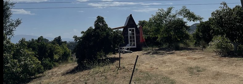 Screenshot 2025-08-30 at 10.08.30 AM