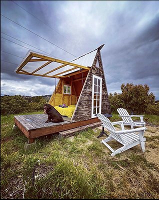 Screenshot 2025-08-30 at 10.08.16 AM