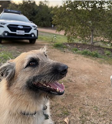 Screenshot 2025-08-30 at 10.12.09 AM