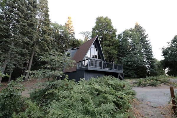 Screenshot 2025-08-30 at 9.49.06 AM Screenshot 2025-08-30 at 9.49.06 AM