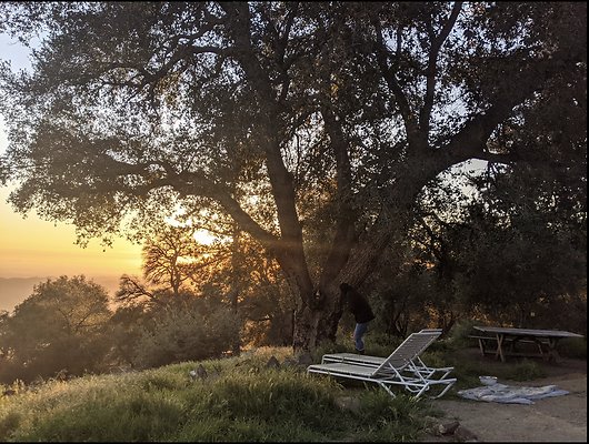 Screenshot 2025-08-30 at 12.42.29 PM