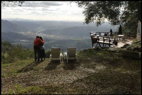 Screenshot 2025-08-30 at 12.44.04 PM