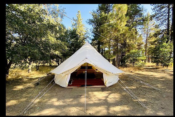 Screenshot 2025-08-31 at 1.54.42 PM